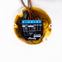 Micro module Shelly Plus 2PM | RepairPC