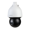 IP camera Dahua SD5A425GB-HNR | RepairPC